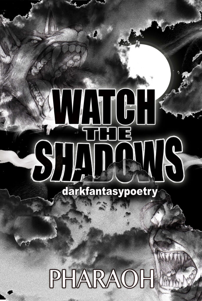 Watch The Shadows | darkfantasypoetry ebook cover
